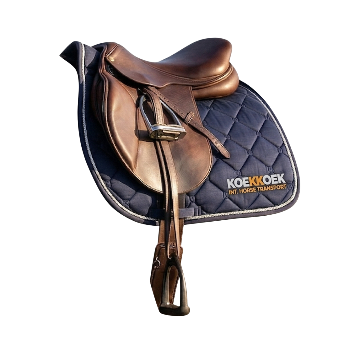 Saddle